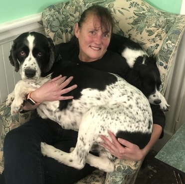 Searching for a Pet Sitting Job in Delmar/Slingerlands, New York