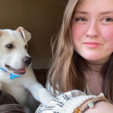 Available For a Pet Care Provider Job in Spokane