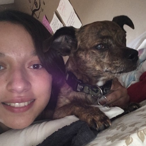 Loving, energetic pet care provider with lots of experience