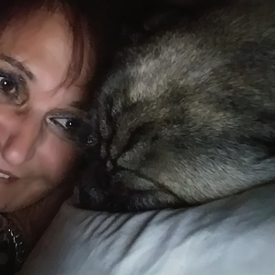 Voted top ten pet caregivers House sitting, Dog boarding