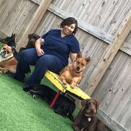 Quality professional pet sitting services, there when you can’t be
