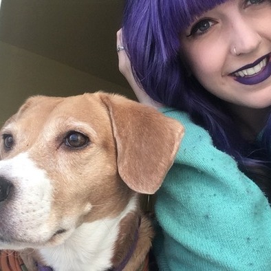 Pet Groomer, Will Walk Dogs, Play With Pets
