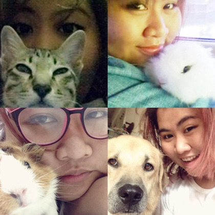 Thai girl who love to take care of animals, with 2 yrs experience as an au pair in europe with 4 cats looking for a job in CA