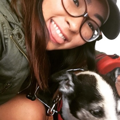Dog-less Dog Lover needs Puppy Love