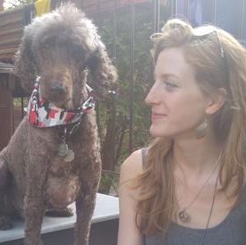 Honest and caring dog walker/sitter available for short or long-term work
