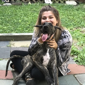 Animal Lover