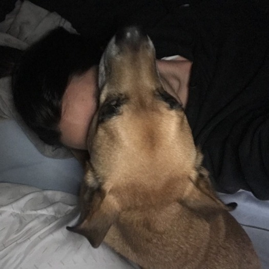 Mans Best Friend Services