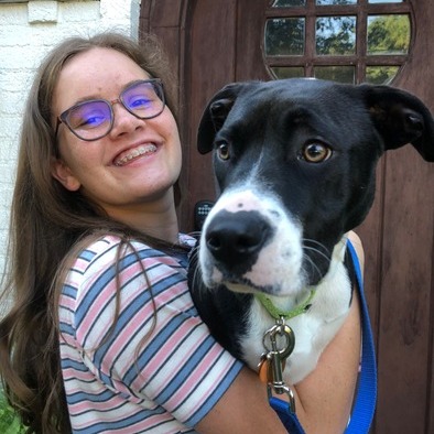 Pet Sitting and Dog offered in Morris County Area