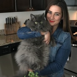 Catsitter Needed