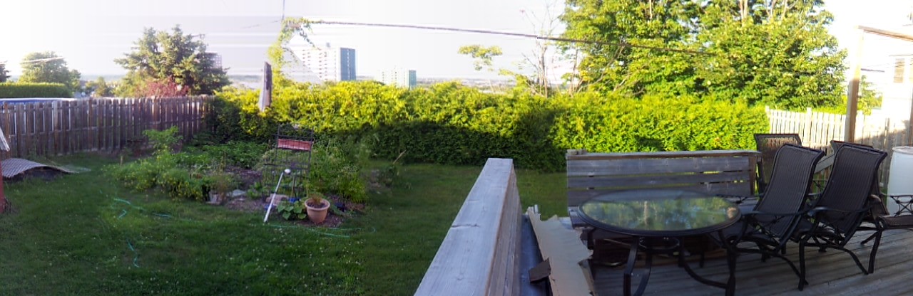 GARDE D'ANIMAUX pendant vos vacances / PET SITTING while your are on vacation or not at home