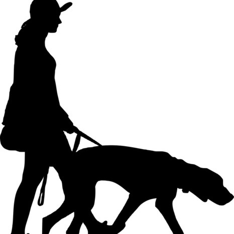 Briarcliff Manor Pet walking