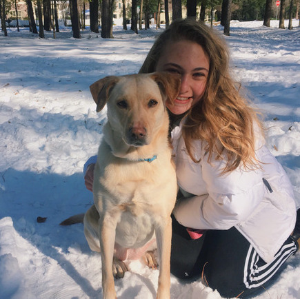 Capable Dog Walker/Pet Sitter for Your Home