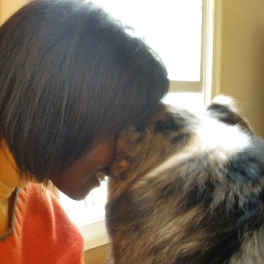 Go To Work Guilt Free...I will walk & feed your dog