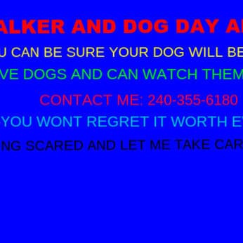 Great Dog Walker And Sitter! i love dogs