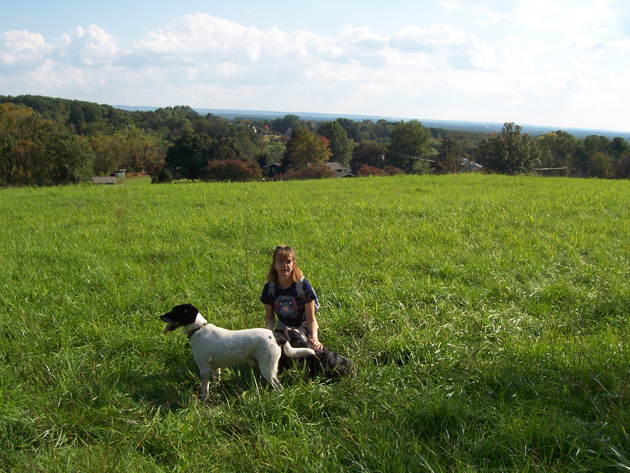 Dog Walker PhD