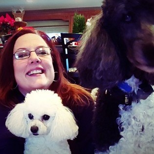 Bonded Insured Dog Walking, Pet Sitting, Drop In, House Sitting