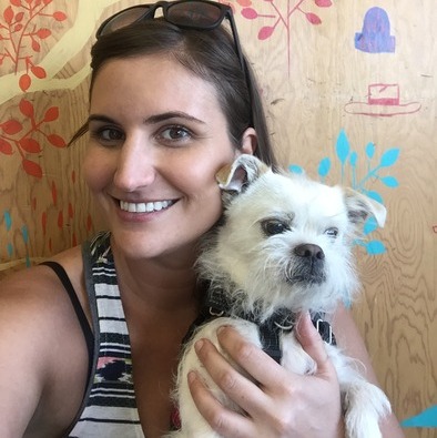 Pet Lover & Available Sitter!