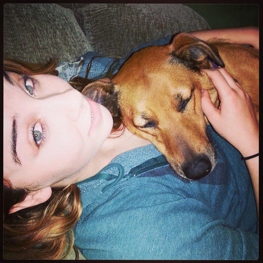 Enthusiastic Pet Sitter Available holidays and all week long (hourly/day rates)