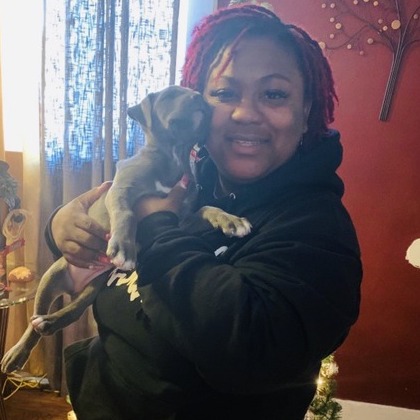Buffalo Petsitter Interviewing For Work in New York