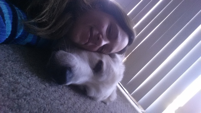 Qualified Dog walker in Canton, Michigan