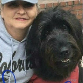 Qualified Pet Carer Available Immediately