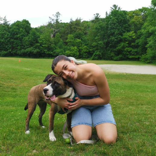 Interested In Toronto Pet Sitting Professional Jobs