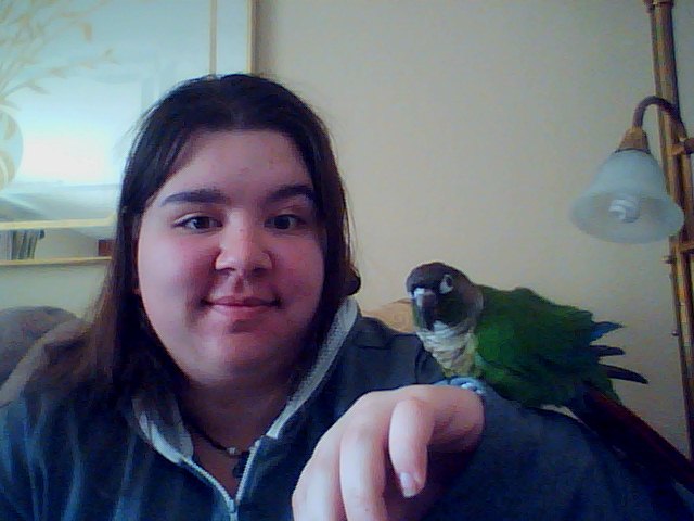 Pet sitting