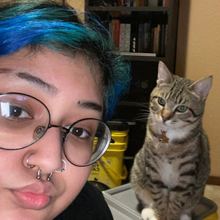 Dog/cat Sitter in Salem, can do part time for now as i also have another job, avail 6:30 pm to whatever time you come home!