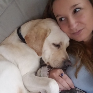 Interested In Somerville Animal Lover Jobs