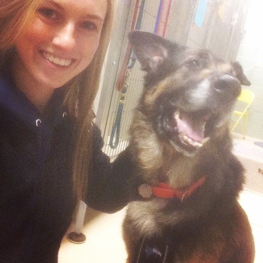 Trustworthy and Dependable Pet Sitter Available Now