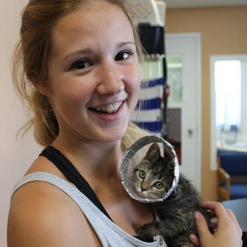 Pet Sitter Available Immediately. Experienced and willing to cuddle.