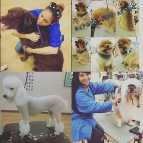Appasionate about animals