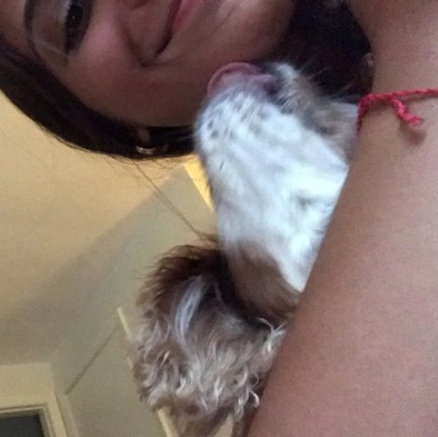 Available For Newton Dog Sitting