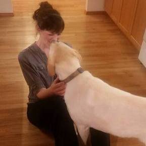 Tacoma pet sitter and walker looking to make some new furry friends in my free time!