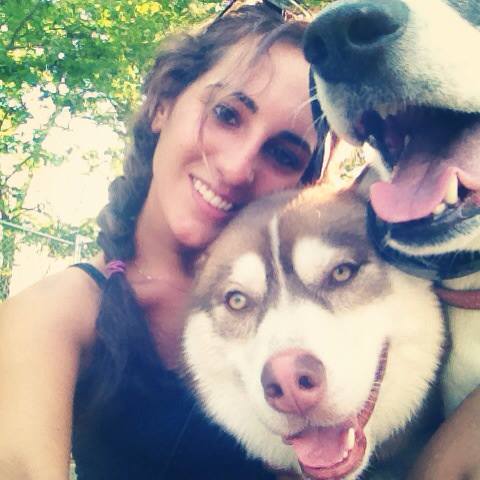 Dog Walking/Training/Pet Sitting