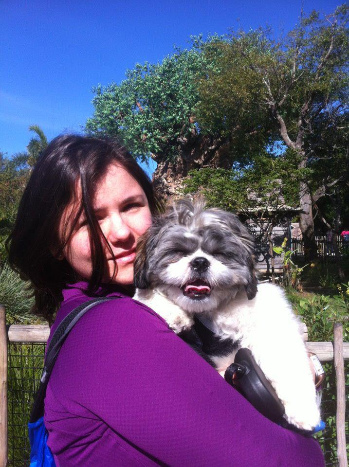 Pet Sitting Services Available in Sterling, Va!