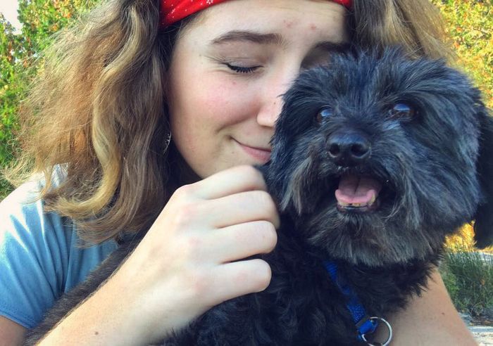Dog walker and pet sitter: Lifetime experience with dogs as well as experience professionally pet sitting.
