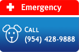 Animal Emergency Clinic of Deerfield Beach