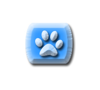 Dog Walker