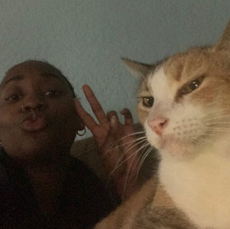 Interested In a Pet Sitter Job in South Florida!