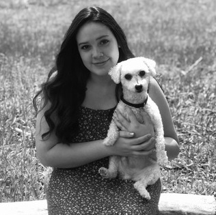 Hi! My name is Raina! I am currently Searching for Colorado Springs Dog Trainer Opportunities! I have a passion for animals!