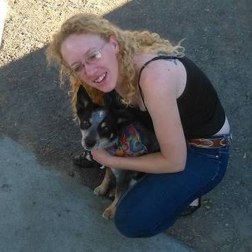 Pet Sitter