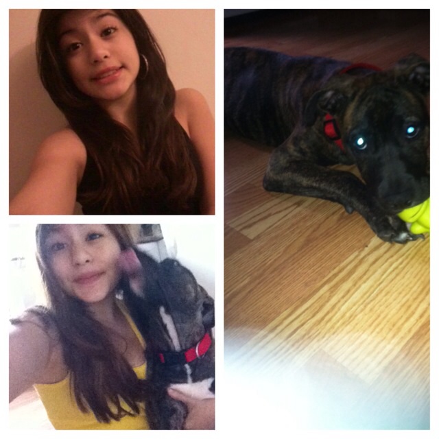 Need A Responsible Pet Sitter ?Im Here!