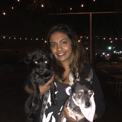 Looking for a temp dog BFF for my fur-child
