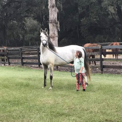 I’ve worked with animals since I could walk. Cows, horses, dogs whatever needs done
