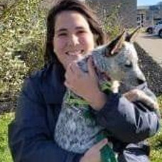 Experienced Dog Sitter/Walker/Trainer, KV/Hampton/Kingston Area, New Brunswick
