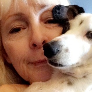 15+ Years Of Experience Caring For Dogs!