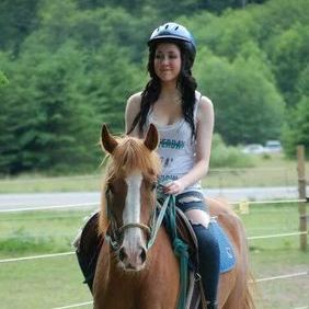 Experienced Animal Caretaker Seeks Part Time Work