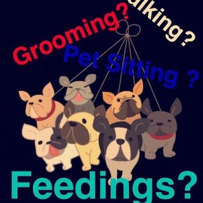 Pet sitting ? Grooming ? And more ?