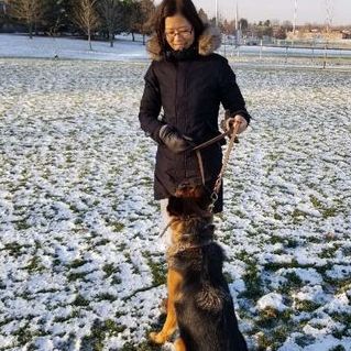 I am a Wonderful Dog lover in Markham